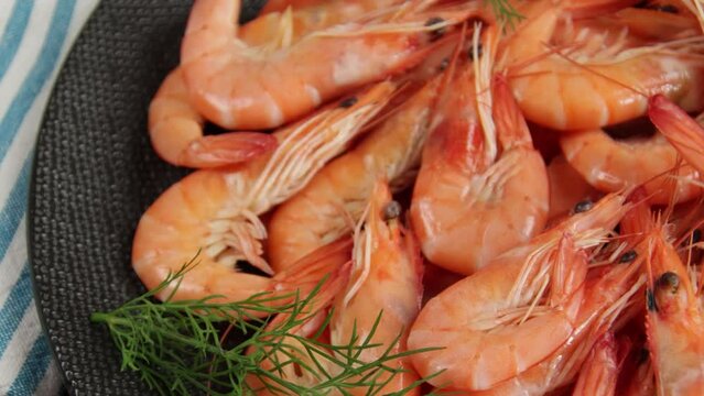 crevettes rose cuites en gros plan	