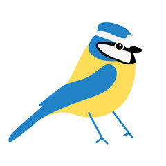 Blue tit bird vector illustration