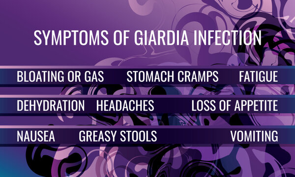 symptoms of Giardia infection. Vector illustration for medical journal or brochure.