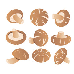 Vector illustration of a set of small brown round black shiitake tree mushrooms.