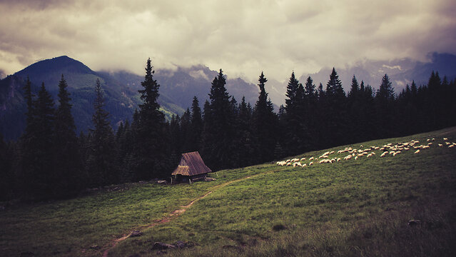 Tatry