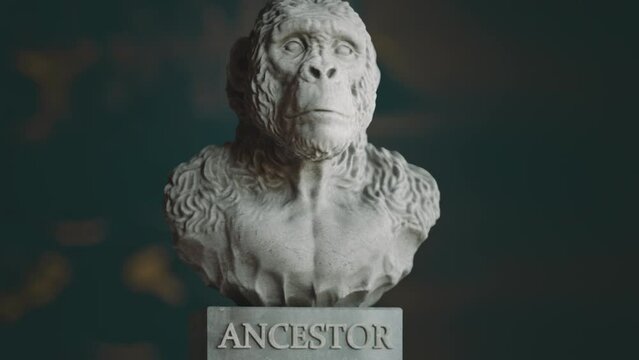 Human ancestor stone sculpture. Neanderthal, primal man, ape man. 3D animation.