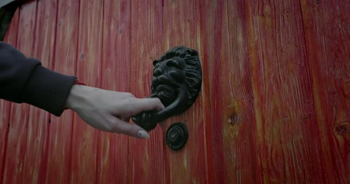 Wrought iron door handle in the shape of a lion's head knocking on the door. Hobbit Round Door.
