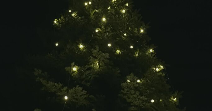 a tilt shot of an illuminated Christmas tree.