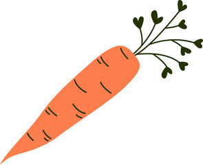 Carrot flat icon Healthy food Agriculture