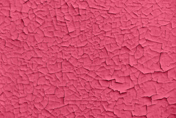 Cracked paint texture in viva magenta color. Trending color of 2023 - Viva Magenta. Old painted surface wall.