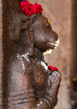 Hanuman statue in Sri Ranganathaswamy Temple, Tamil Nadu, Tiruchirappalli, India