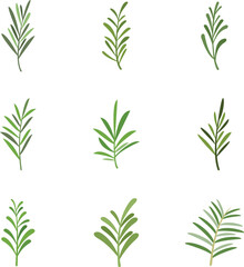 Rosemary icons set flat vector. Herb spices. Eating branch isolated