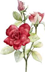 Watercolor Red Rose Bouquet