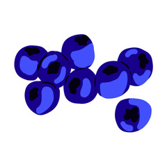 Blueberries vector illustration isolated on white 