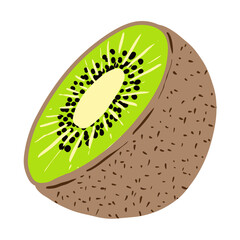 Kiwi fruit vector illustration on a white background
