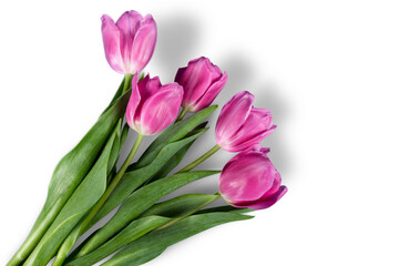 A fresh beautiful bouquet of tulips flowers