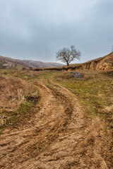 path in the mountains