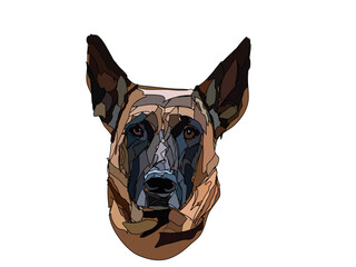 Obraz premium dog