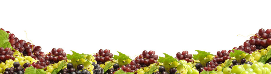 Grape fruit isolated
