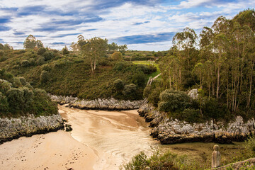 Bufones de pria en Asturias España