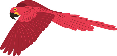 red macaw flying "arara" transparent background © Sophia Andreazza