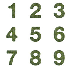 3D Render Set of Bamboo Font including Letters,  Numbers and Punctuation Marks