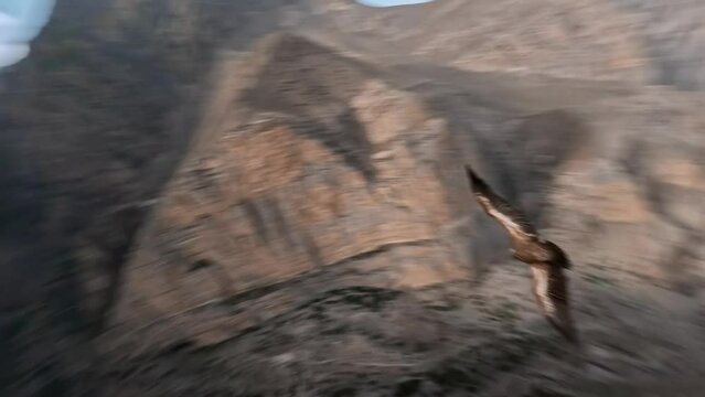 Flying eagle follow over epic mountain stone structure desert valley village countryside landscape aerial view. FPV sports drone shot flight wild bird open wings freedom adventure travel exploration