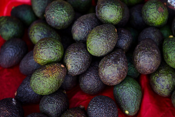 Fresh ripe avocado fruit