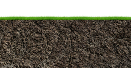 stone isolated transparency background.