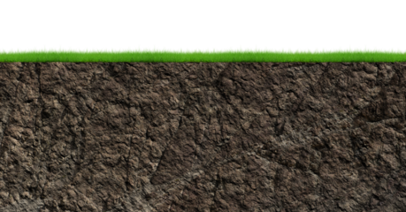 stone isolated transparency background.