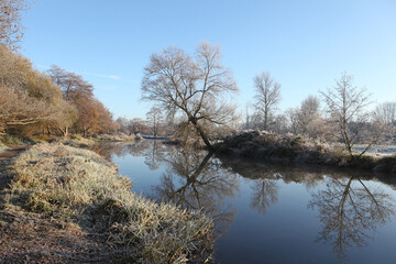 Winter reflections on the River Wey on a cold and frosty day.