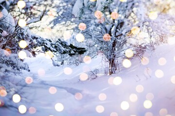 Christmas tree in forest in white snow