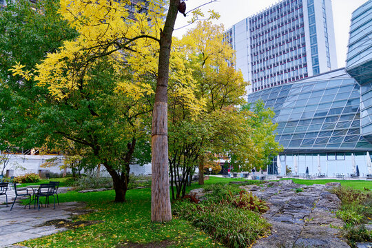 Rocks at park in front of futuristic glass building designed by Frank O. Gehry at Novartis Campus at Swiss City of Basel on a cloudy autumn morning. Photo taken October 3rd, 2022, Basel, Switzerland.