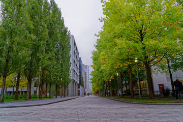 Beautiful tree alley at Swiss Novartis Campus at City of Basel on a cloudy autumn morning. Photo taken October 3rd, 2022, Basel, Switzerland.