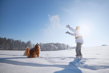 Woman playing with dog  during walk in snowy landscape. Pet owner throwing snow with his playful...