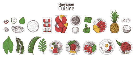 Hawaiian food top view vector illustration. Food menu design template. Hand drawn sketch collection. Hawaiian food menu set. Vintage style.