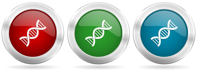 Dna, genetic molecule vector icon set. Red, blue and green silver metallic web buttons with chrome border