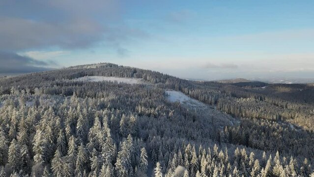 Winterwald