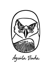 Vector card with hand drawn beautiful Black-and-white Hawk-Eagle in austere ellipse frame. Beautiful wild animal illustration, ink drawing, graphic style. Logo template