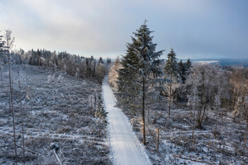 Aerial view of trees covered with hoarfrost and wafts of fog in the Taunus/Germany and a cleared forest area