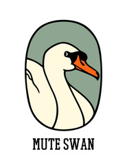 Vector card with hand drawn graceful Mute Swan in austere ellipse frame. Beautiful wild animal illustration, ink drawing, graphic style. Logo template