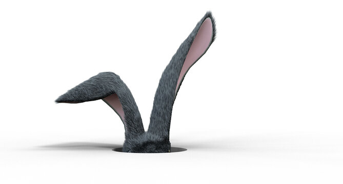 oreilles de lapin qui sortent d'un trou - rendu 3D