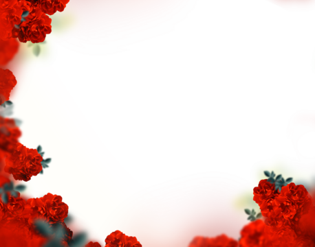 Isolated red rose frame background png 
