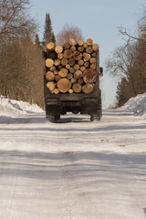 rear view of a long heavy industrial cargo ship for transporting timber with a trailer with large pine, spruce, cedar wood, the concept of exporting and shipping wood