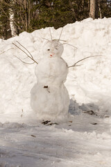 Funny snowman with scarf and hat in winter forest