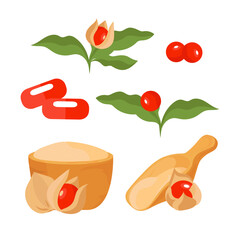 Ashwaganda. Medicinal plant. Berries, capsule, leaves, powder. Vector set 