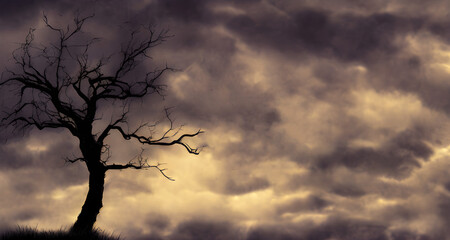 Obraz premium AI Digital Illustration Trees Landscape With White Clouds Motif