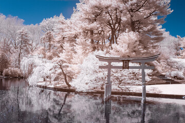 Infrared photography at the Brooklyn Botanical Garden - 555467378