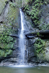 Fototapeta na wymiar Maple Falls at the Forest of Nisene Marks State Park. Aptos, Santa Cruz County, California, USA.