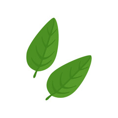 Herb leaves with vitamin C vector illustration. Cartoon drawing of enriched organic antioxidant, herb. Food, nutrition, diet concept