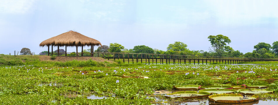 Hotel Porto Jofre; Pantanal, Brazil