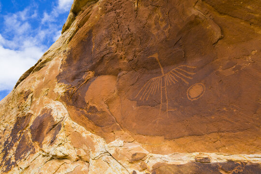 Big crane pictograph done by ancestral Puebloans, approximately 900-1000 years old, Bears Ears National Monument; Utah, United States of America