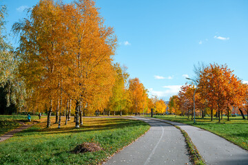 Naklejka premium Beautiful autumn park. Panorama of the city park in sunny weather