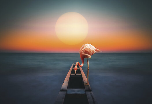 A flamingo stands on a structure leading out to the water with a glowing sun over the horizon, composite image